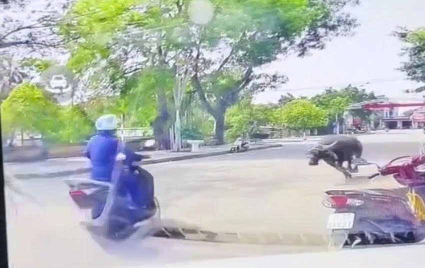 Từ thôi Trâu ơi.