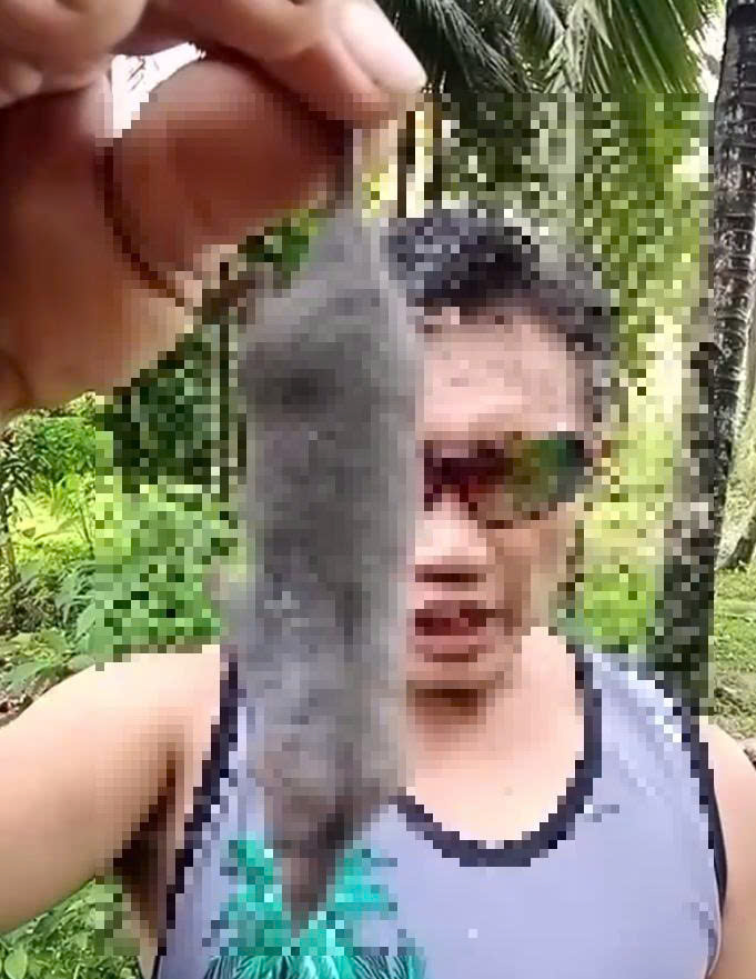 Protein béo ngậyy