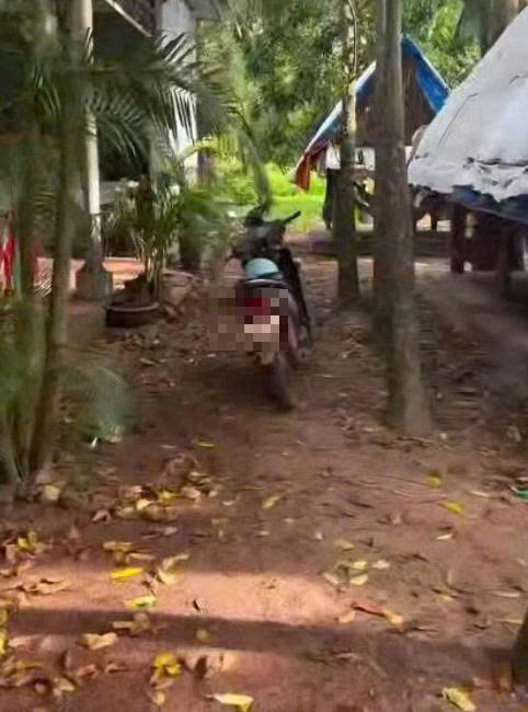 Mẹ vk