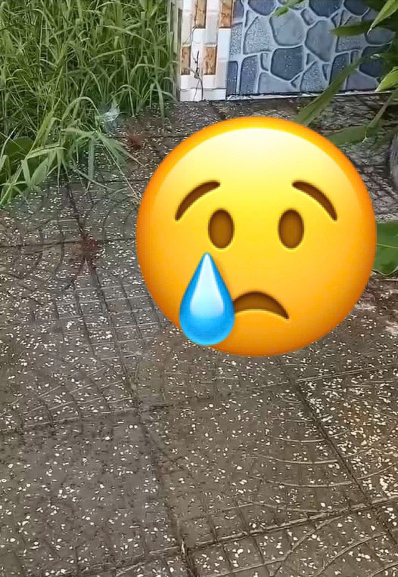 Sa0 l@i có l0ại người mẹ ák đến vậy? 😡