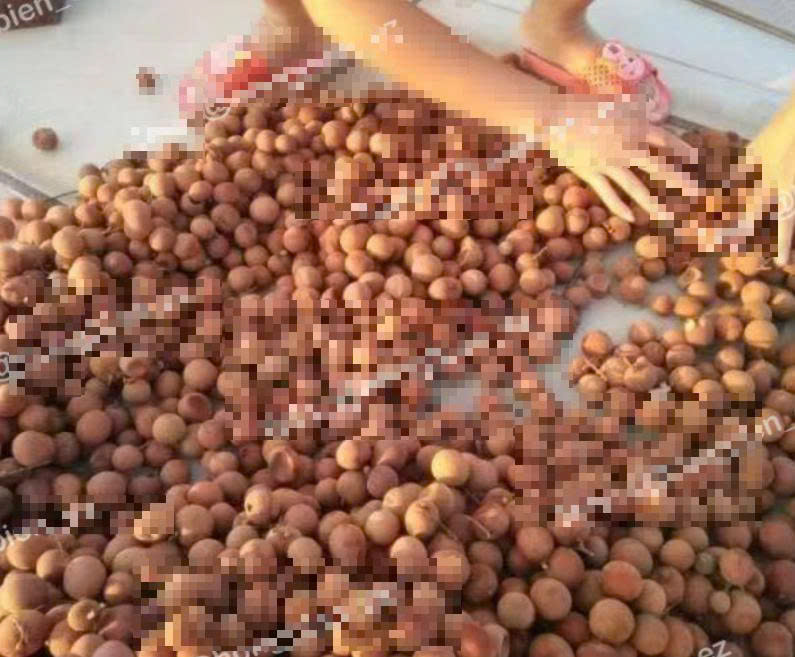 Mở hàng như này sao bán nửa